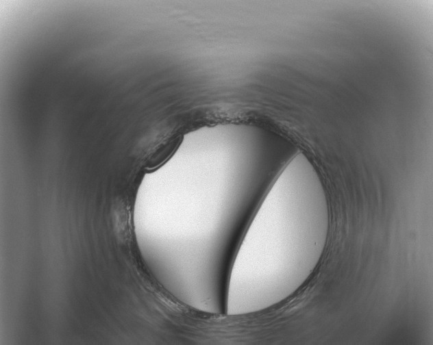 X0000059060624200510212028