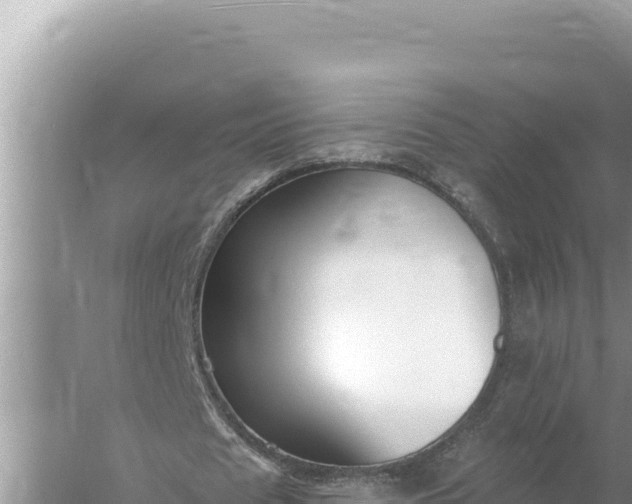 X0000059060625200510212027