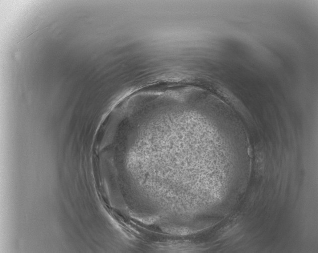 X0000059060626200510212027