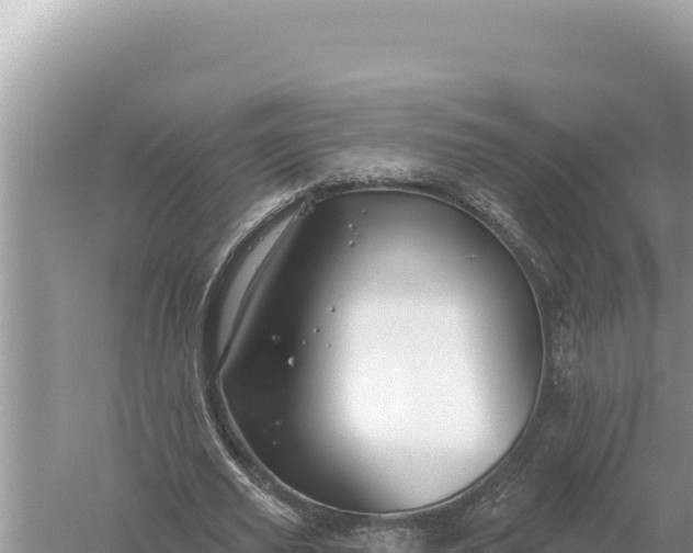 X0000059060629200510212027