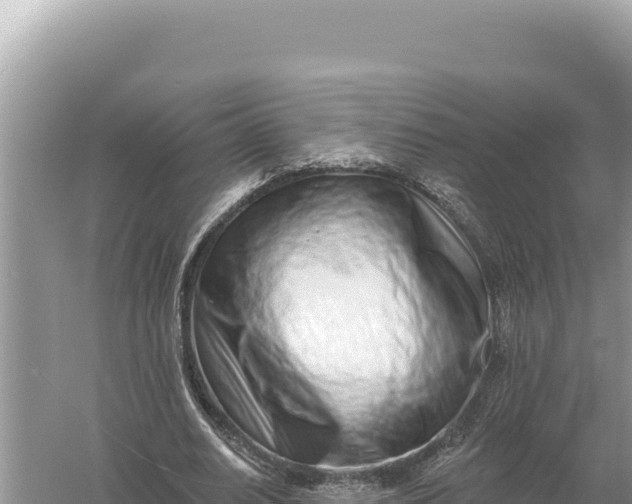 X0000059060630200510212027