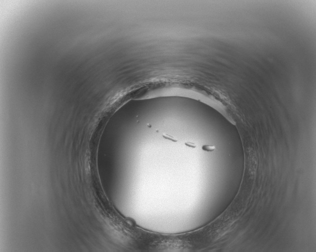 X0000059060631200510212027