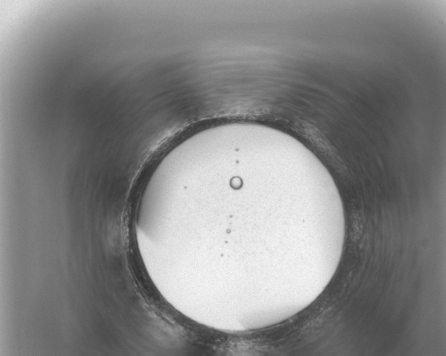 X0000059060632200510212028