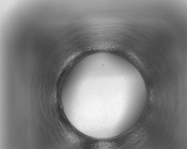 X0000059060636200510212028