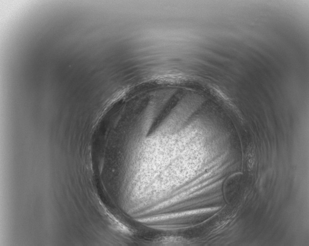 X0000059060637200510212028