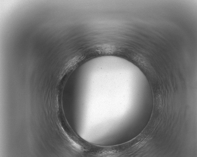 X0000059060638200510212028