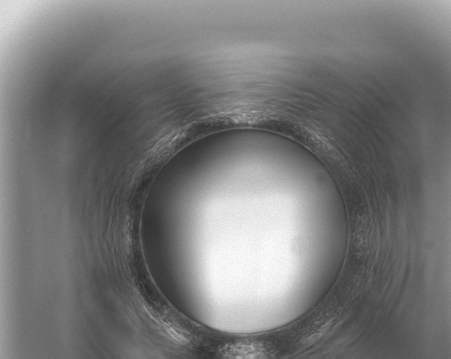 X0000059060639200510212028