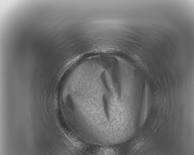 X0000059060640200510212028