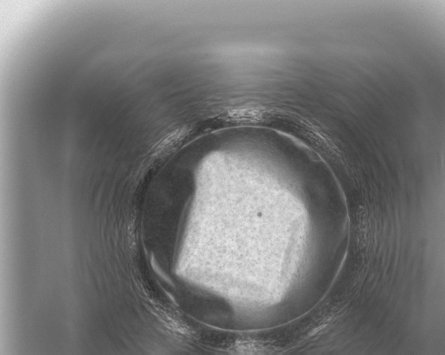 X0000059060641200510212028