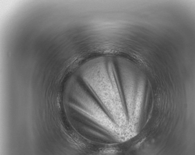 X0000059060643200510212028