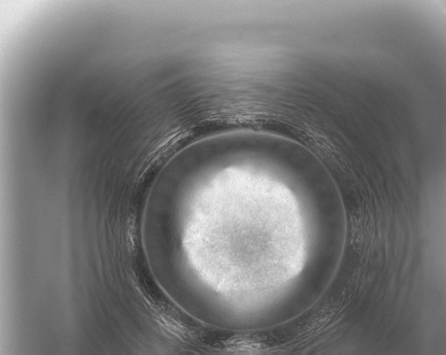 X0000059060648200510212028