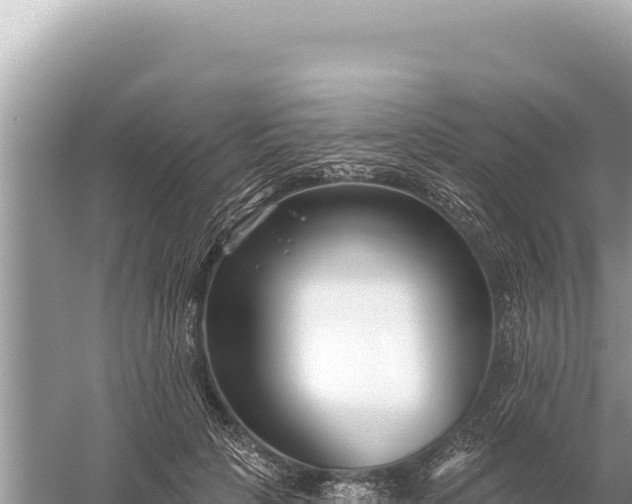 X0000059060649200510212028