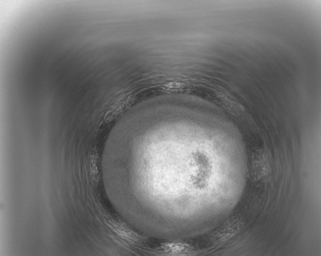 X0000059060654200510212028