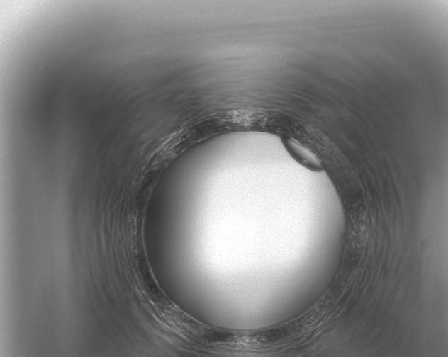 X0000059060656200510212028