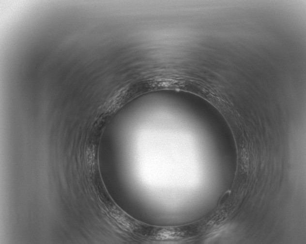 X0000059060657200510212028