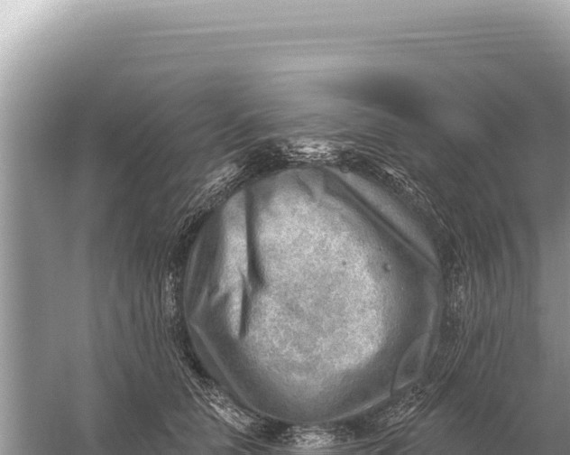 X0000059060658200510212028