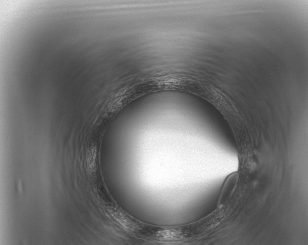 X0000059060660200510212028