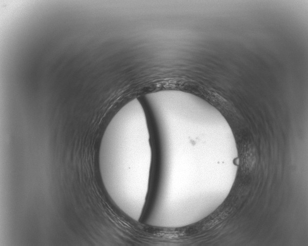 X0000059060661200510212028