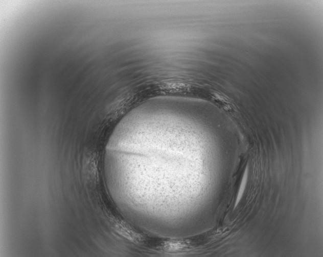 X0000059060662200510212028