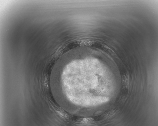 X0000059060663200510212028