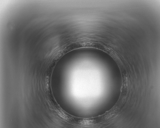 X0000059060664200510212028