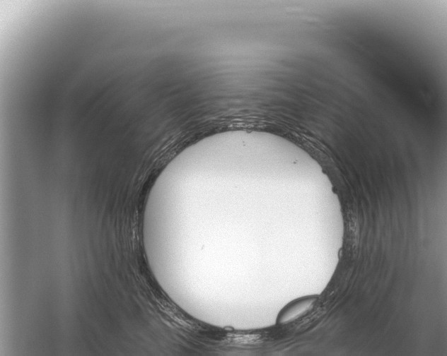 X0000059060665200510212028