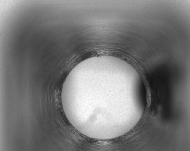 X0000059060667200510212028