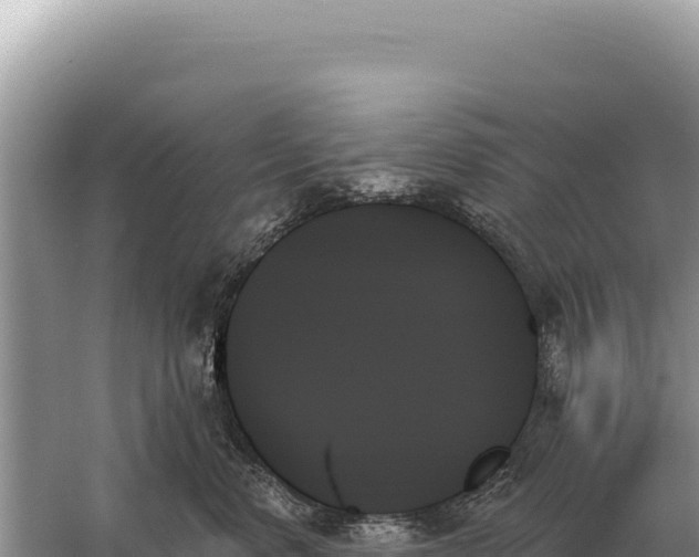 X0000059060668200510212028