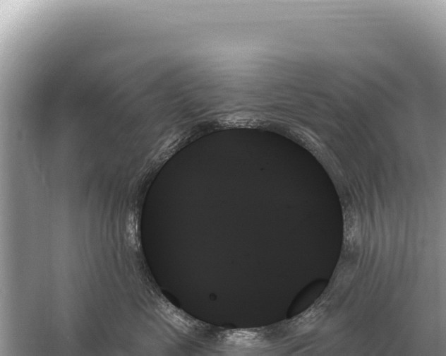 X0000059060669200510212028