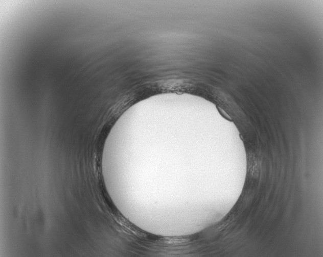 X0000059060670200510212028