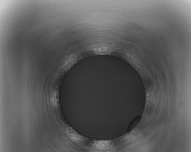 X0000059060671200510212028