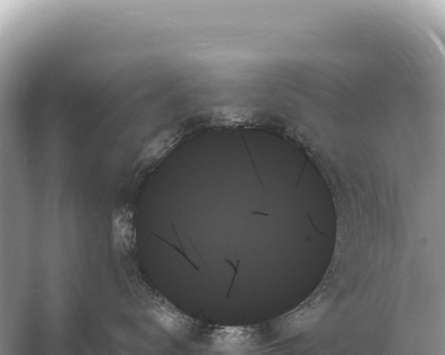 X0000059060672200510212028