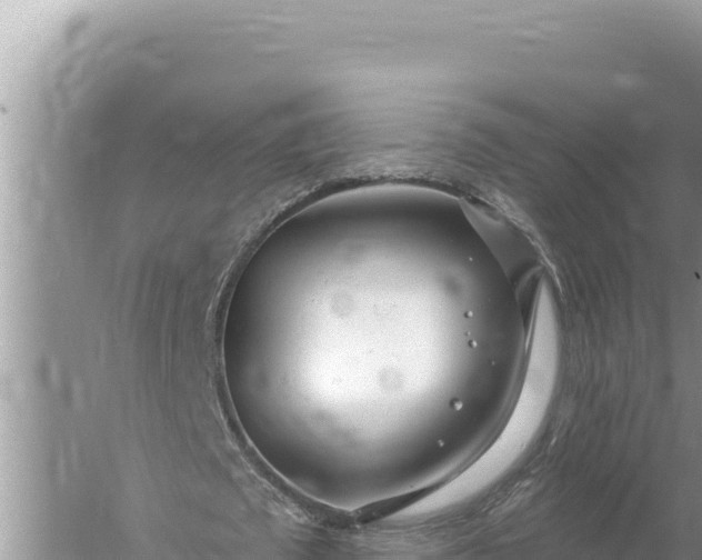 X0000059060673200510212027