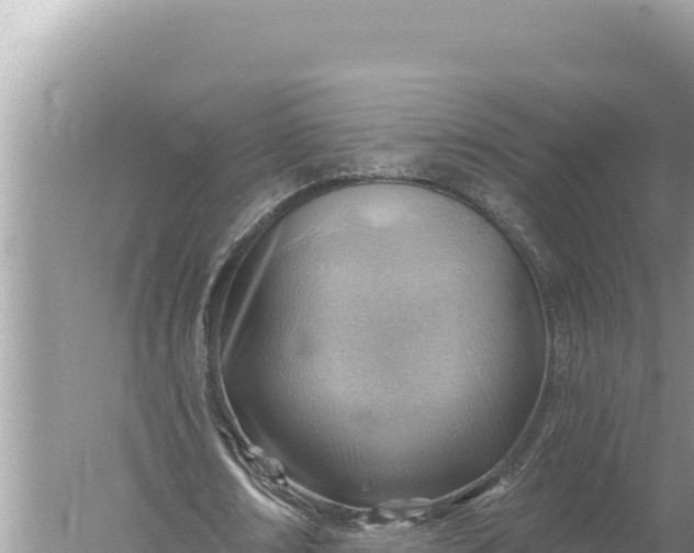 X0000059060674200510212027