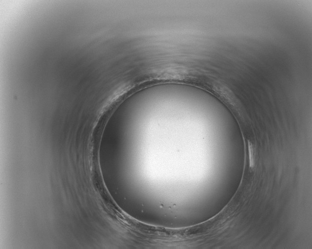 X0000059060675200510212027