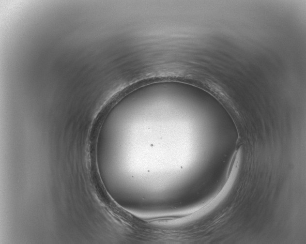 X0000059060676200510212027