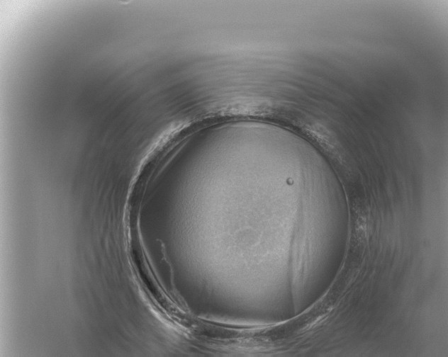 X0000059060678200510212027