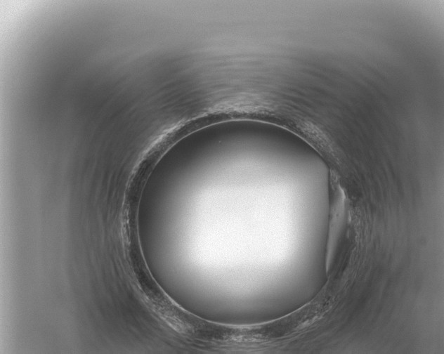 X0000059060680200510212027