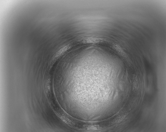 X0000059060683200510212027