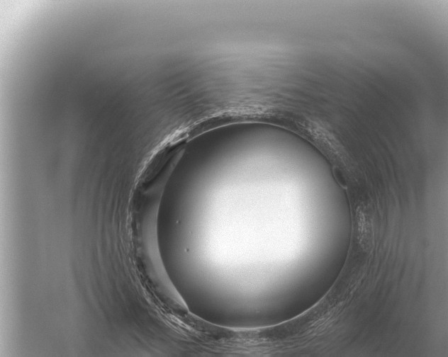 X0000059060684200510212027