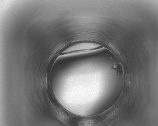 X0000059060685200510212027