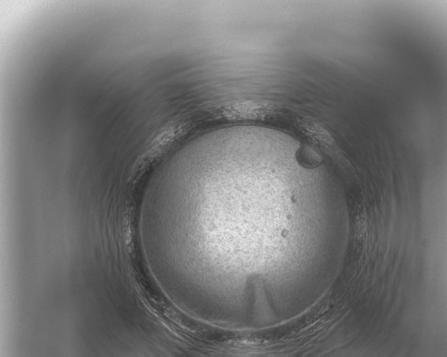 X0000059060687200510212027