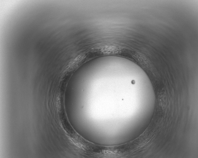 X0000059060690200510212027