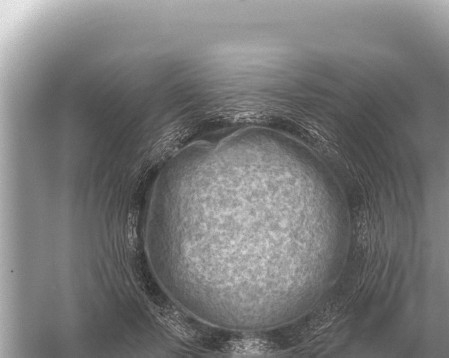 X0000059060695200510212027