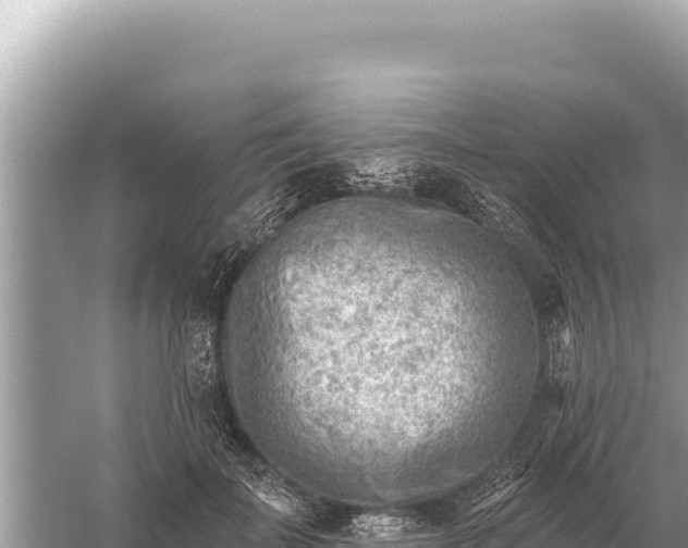 X0000059060699200510212027