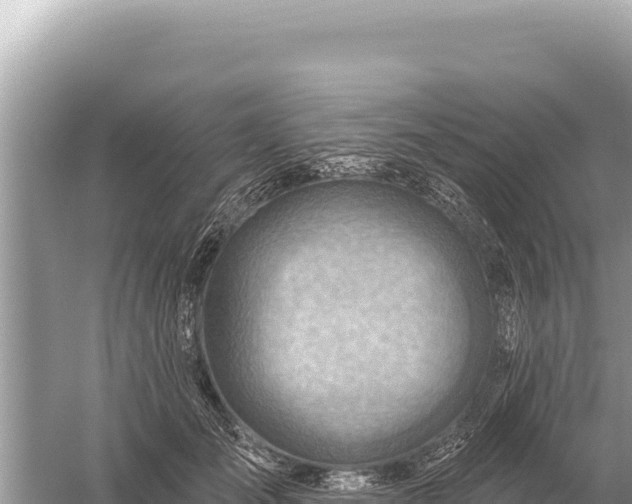 X0000059060701200510212027