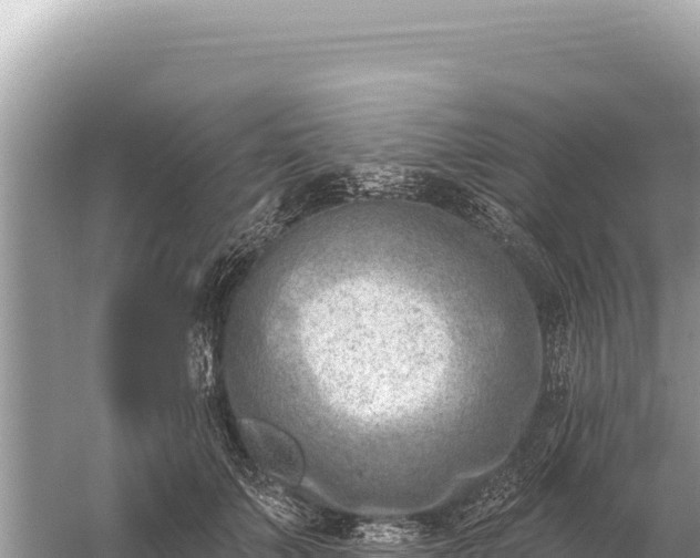 X0000059060703200510212027