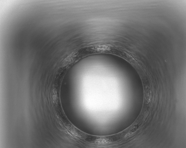 X0000059060704200510212027