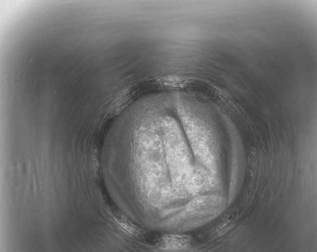 X0000059060707200510212027