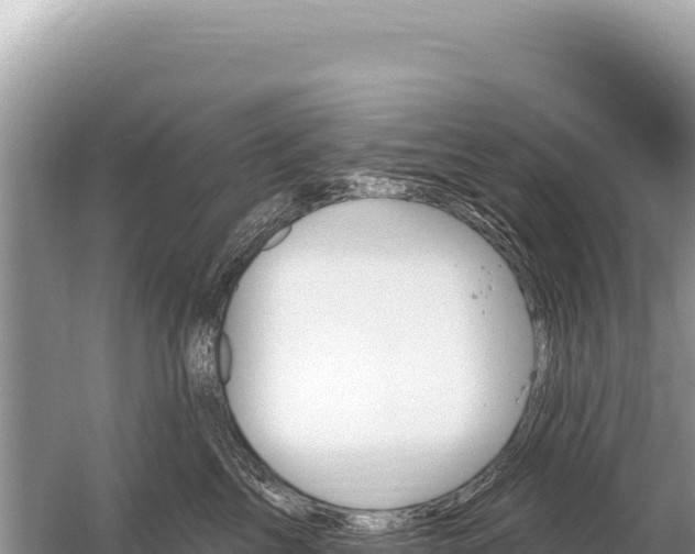 X0000059060713200510212027